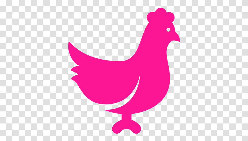 Deep Pink Chicken Icon Free Deep Pink Animal Icons Pink Chicken Icon, Bird, Beak, Poultry, Fowl Transparent Png