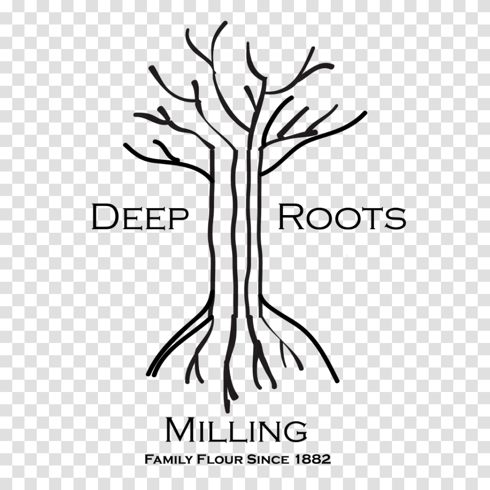 Deep Roots Milling, Nature, Outdoors, Night, Fireworks Transparent Png