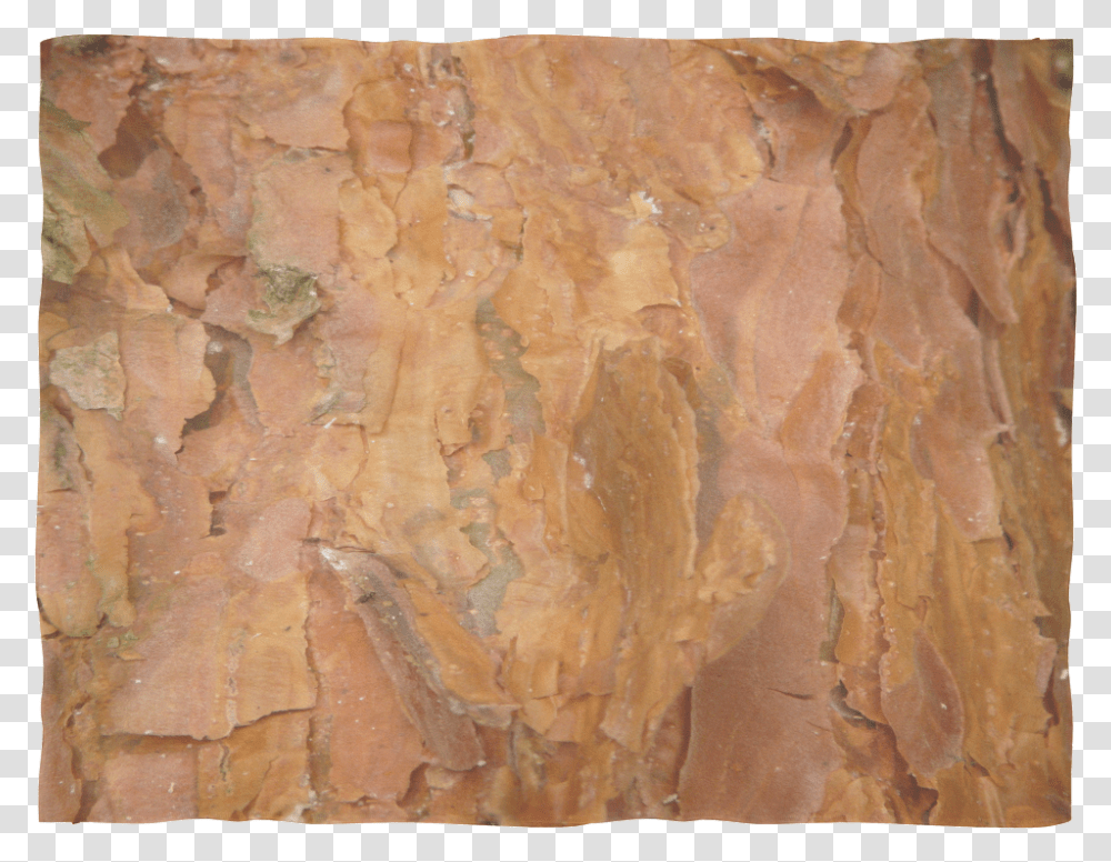 Deep Rust Tree Bark Plywood, Rock, Slate, Painting Transparent Png