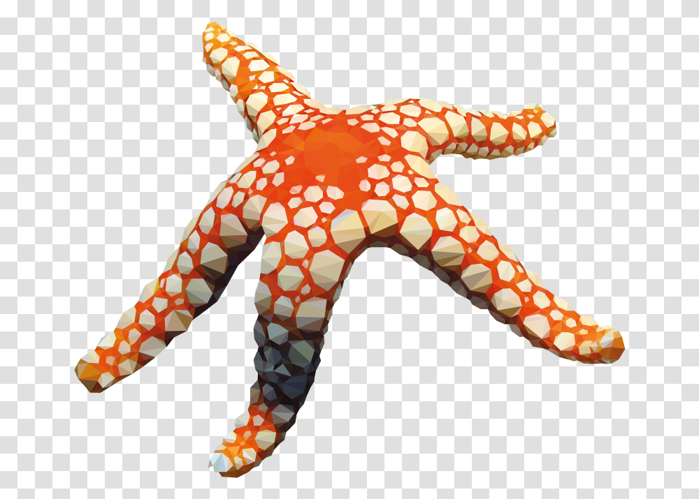 Deep4 Starfish, Sea Life, Animal, Dinosaur, Reptile Transparent Png