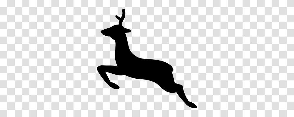 Deer Nature, Gray, World Of Warcraft Transparent Png