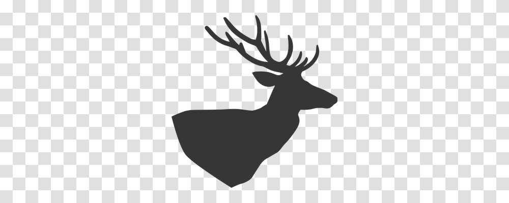 Deer Nature, Animal, Mammal, Wildlife Transparent Png