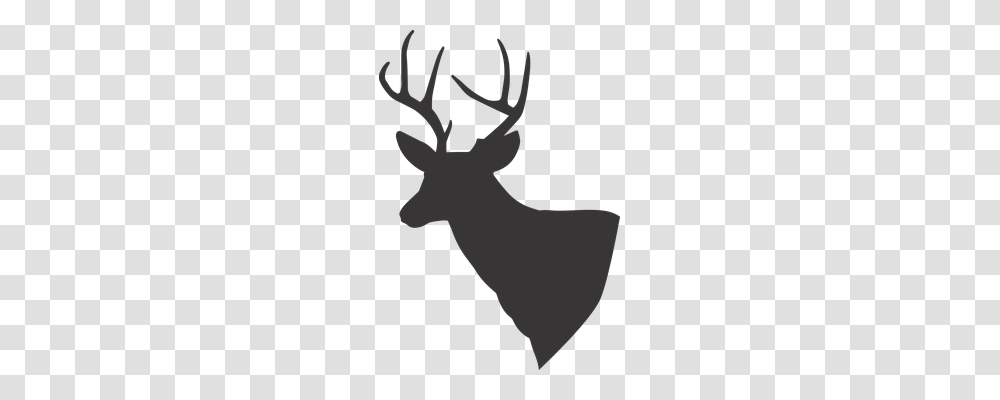 Deer Nature, Antler, Animal, Mammal Transparent Png