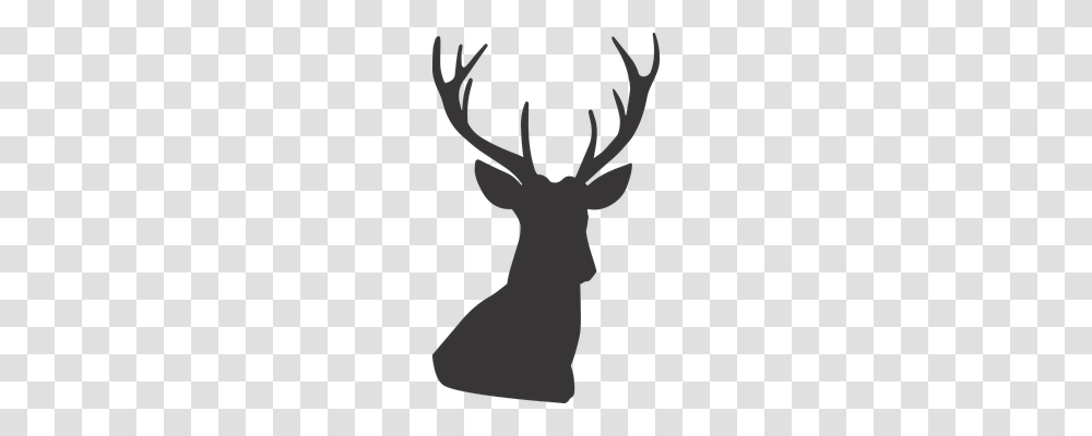 Deer Nature, Antler, Silhouette Transparent Png