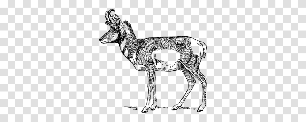 Deer Technology, Gray, World Of Warcraft Transparent Png