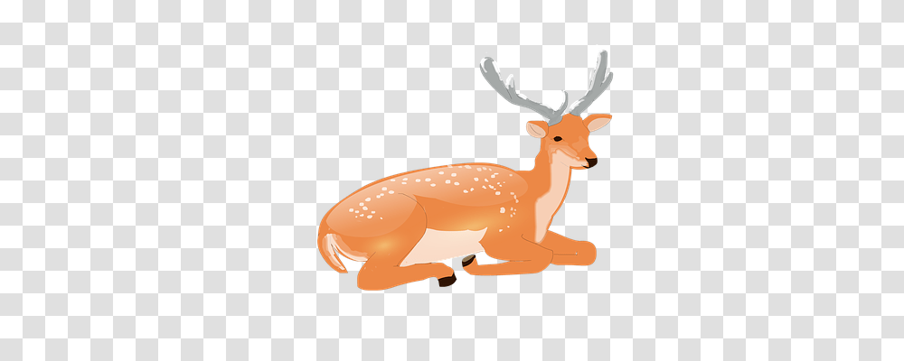 Deer Nature, Wildlife, Mammal, Animal Transparent Png