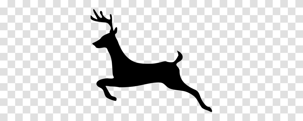 Deer Animals, Gray, World Of Warcraft Transparent Png