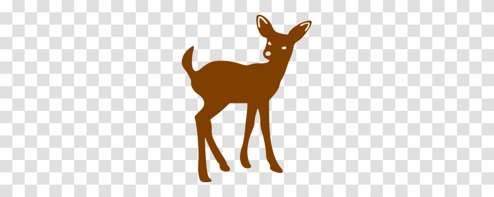 Deer Nature, Mammal, Animal, Wildlife Transparent Png