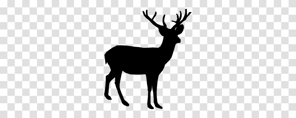 Deer Animals, Gray, World Of Warcraft Transparent Png