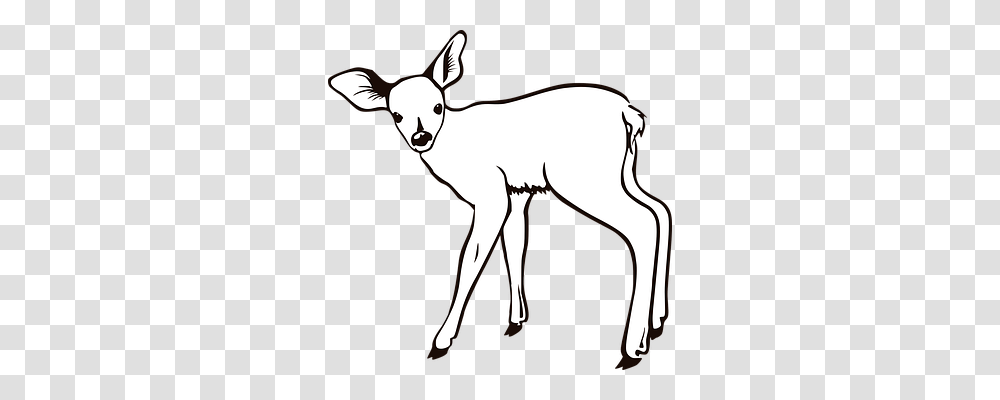 Deer Animals, Mammal, Horse, Kangaroo Transparent Png