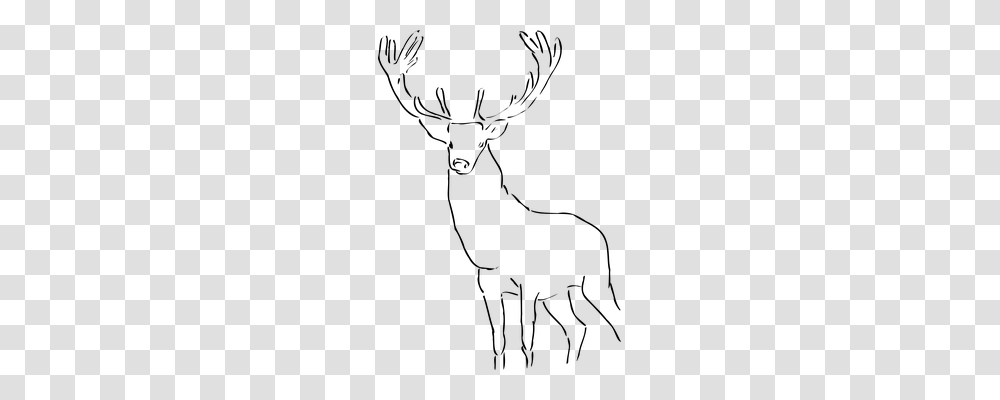 Deer Nature, Gray, World Of Warcraft Transparent Png