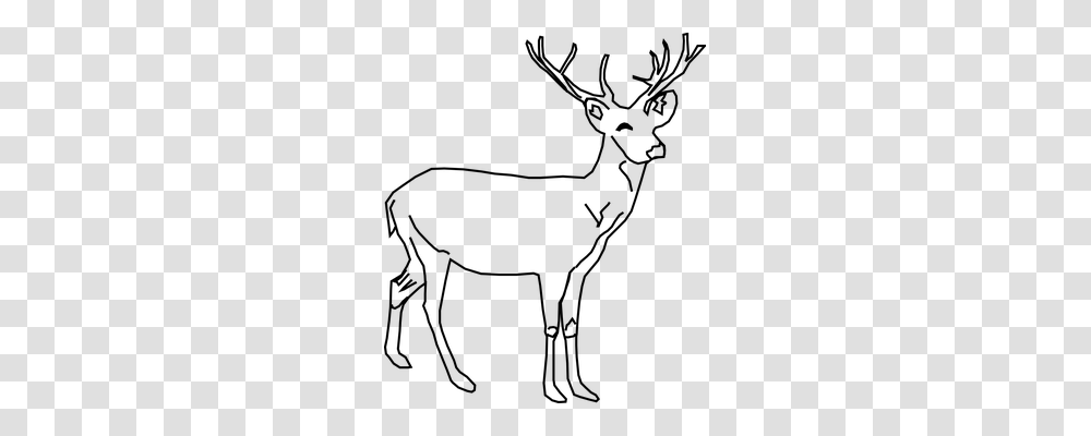 Deer Nature, Gray, World Of Warcraft Transparent Png