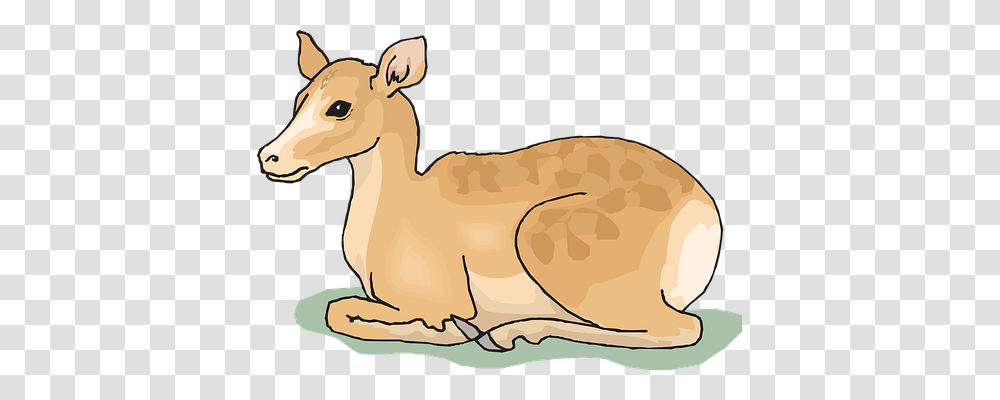 Deer Nature, Animal, Mammal, Wildlife Transparent Png