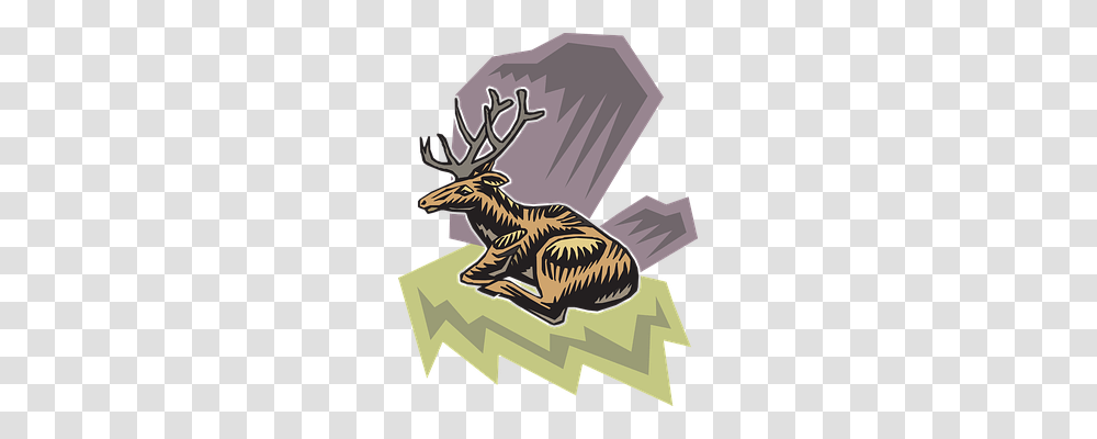 Deer Elk, Wildlife, Mammal, Animal Transparent Png