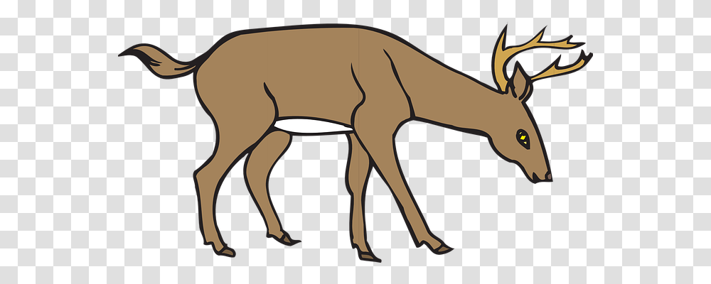 Deer Nature, Wildlife, Animal, Mammal Transparent Png