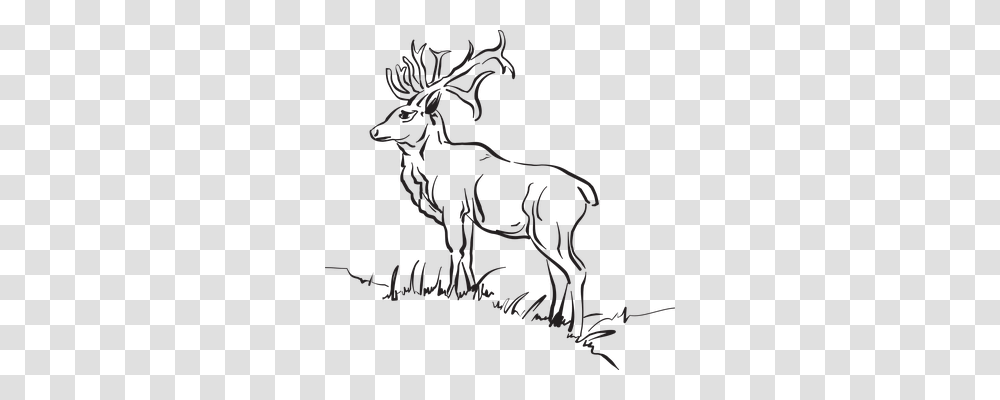 Deer Nature, Elk, Wildlife, Mammal Transparent Png