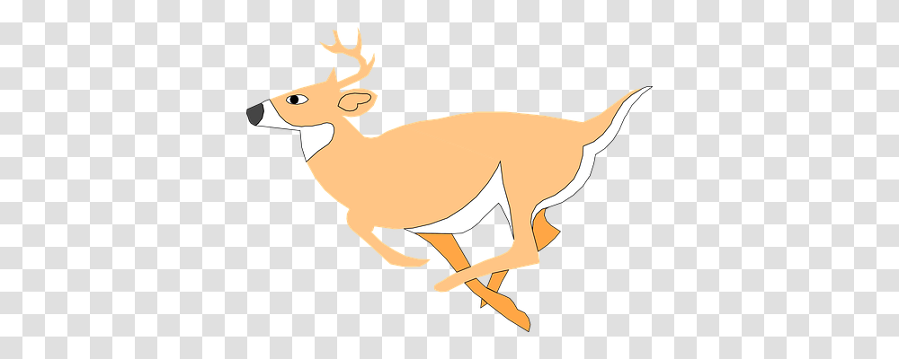 Deer Nature, Wildlife, Mammal, Animal Transparent Png