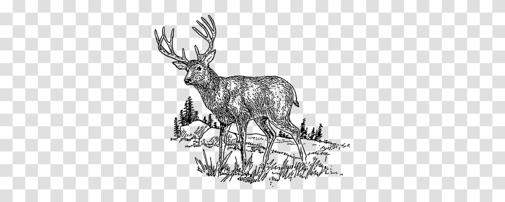 Deer Animals, Gray, World Of Warcraft Transparent Png