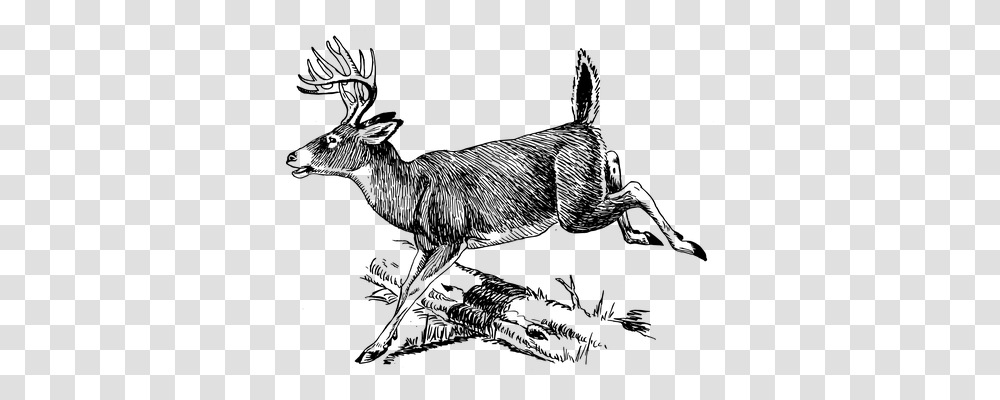 Deer Animals, Gray, World Of Warcraft Transparent Png