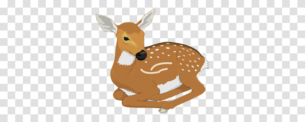 Deer Nature, Wildlife, Mammal, Animal Transparent Png