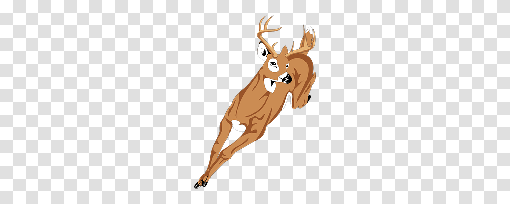 Deer Nature, Mammal, Animal, Wildlife Transparent Png