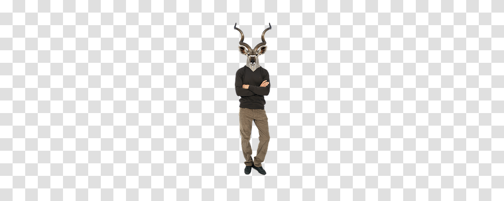 Deer Person, Apparel, Sleeve Transparent Png