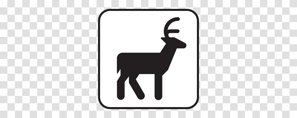 Deer Hammer, Tool, Wildlife, Mammal Transparent Png