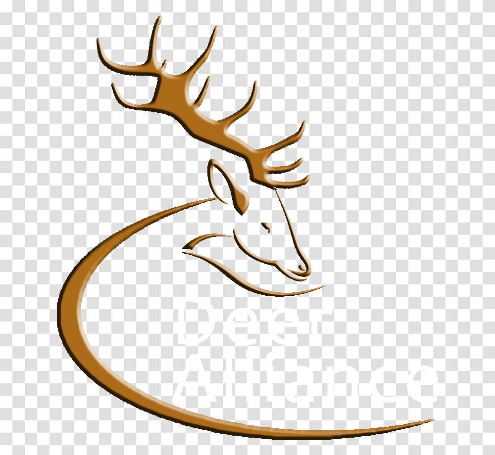 Deer Alliance Deer Head Logo, Antler, Poster, Advertisement, Symbol Transparent Png