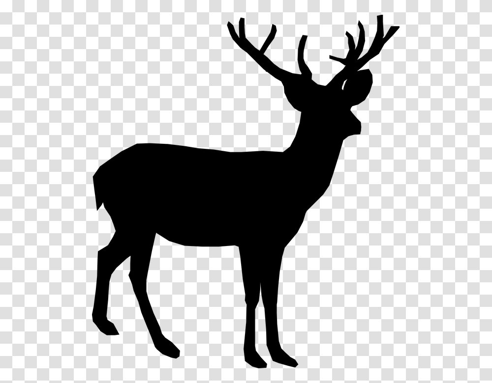 Deer Animal Antler Stand Silhouette Black Background Deer Silhouette, Gray, World Of Warcraft Transparent Png