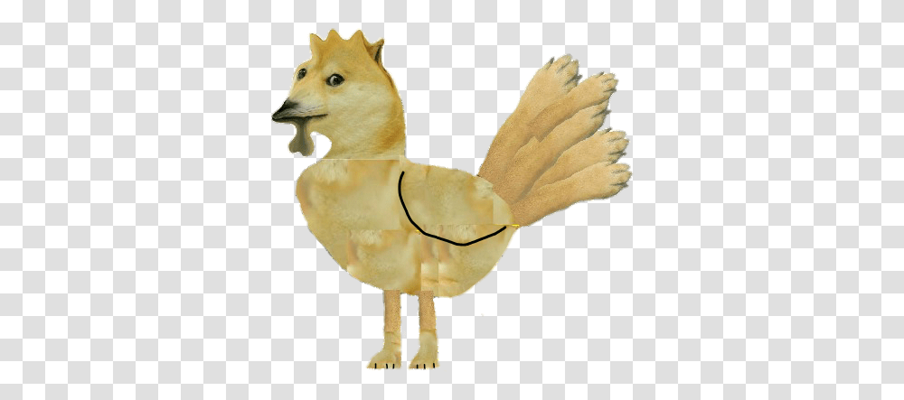 Deer, Animal, Bird, Mammal, Person Transparent Png