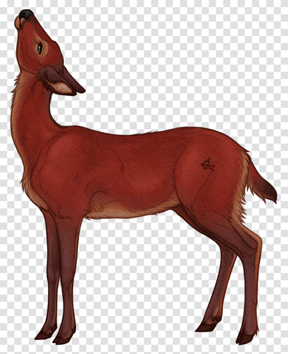 Deer, Animal, Mammal, Antelope, Wildlife Transparent Png