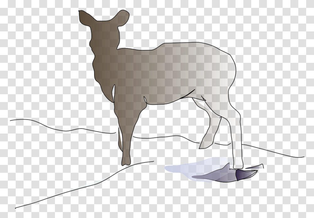 Deer Animal Mammal Free Vector Graphic On Pixabay Deer, Wildlife Transparent Png