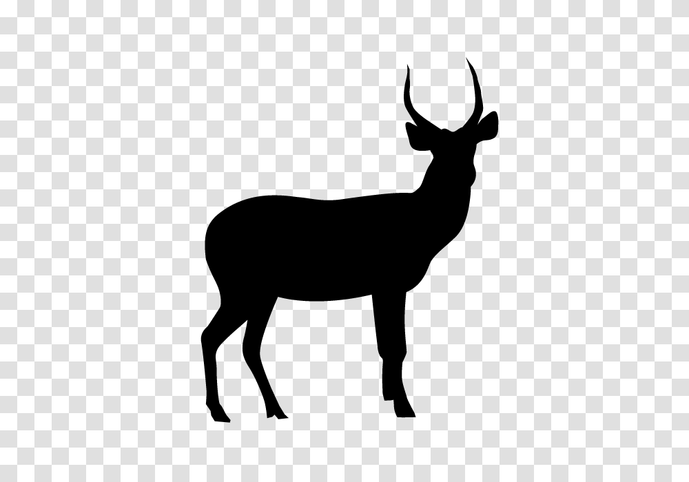 Deer Animal Silhouette Free Illustrations, Gray, World Of Warcraft Transparent Png