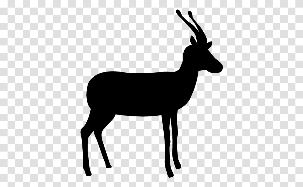 Deer Animal Silhouette Free Silhouette Of A Deer, Gray, World Of Warcraft Transparent Png