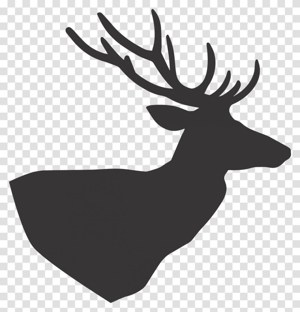 Deer, Animal, Wildlife, Mammal, Elk Transparent Png