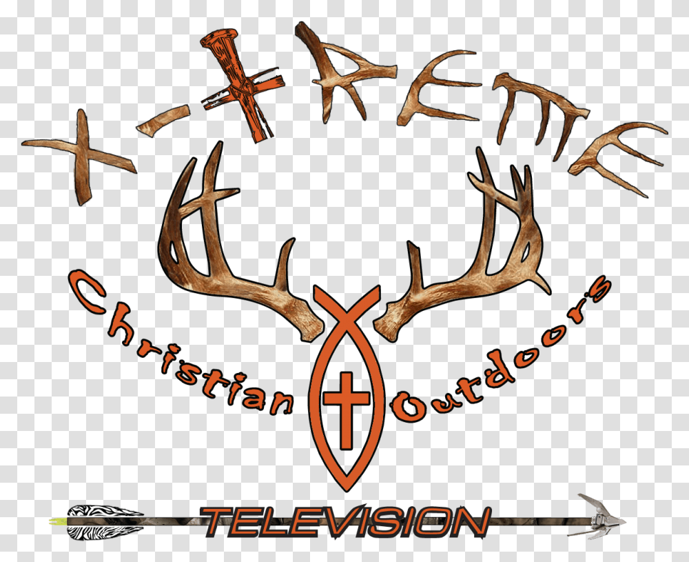 Deer, Antler, Antelope, Wildlife, Mammal Transparent Png