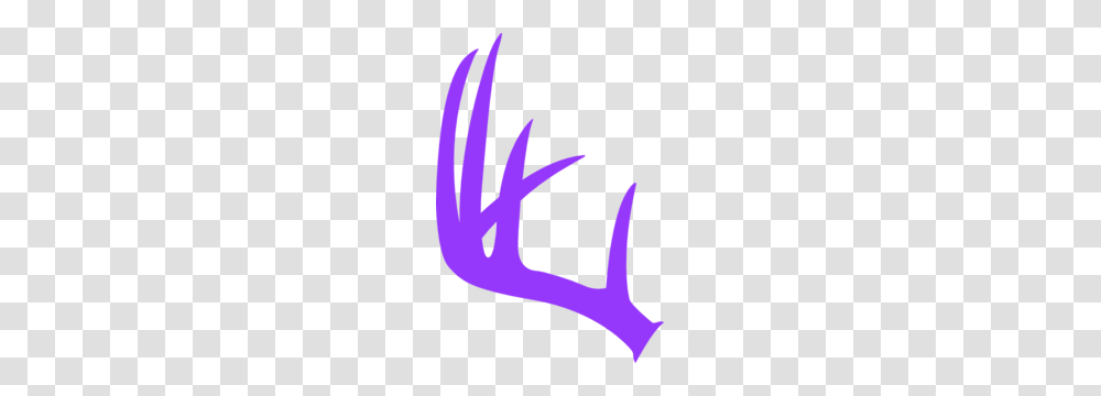 Deer Antler Clip Art Shared Transparent Png