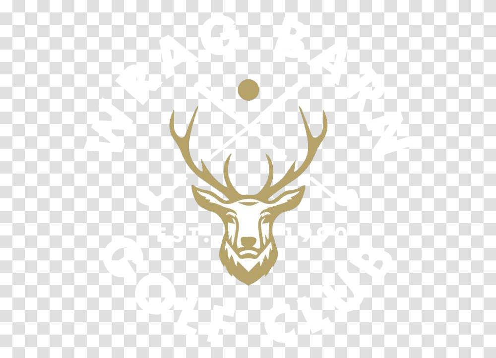 Deer, Antler, Elk, Wildlife, Mammal Transparent Png