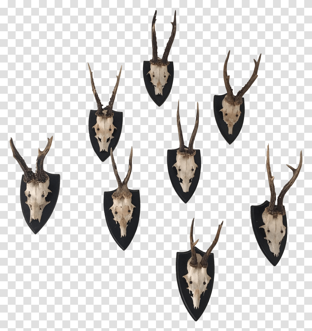 Deer Antler Graphic Black And White Antler, Arrowhead, Pendant, Bronze, Silver Transparent Png