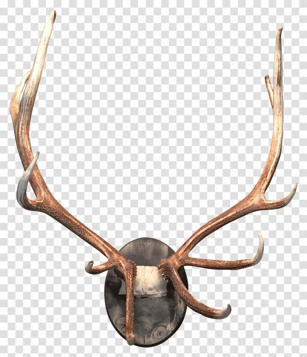 Deer Antler Moose Horn Elk Antler, Snake, Reptile, Animal Transparent Png