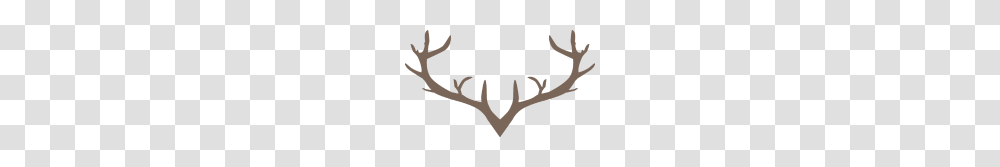 Deer Antler Transparent Png