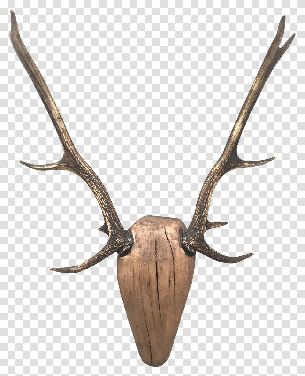 Deer Antlers Antlers Background Transparent Png