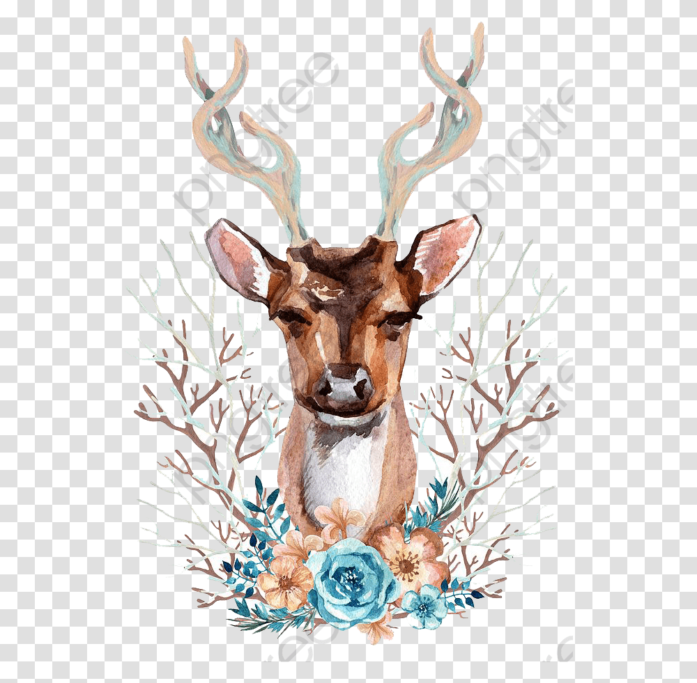 Deer Antlers Clipart Deer Front View, Wildlife, Mammal, Animal, Elk Transparent Png