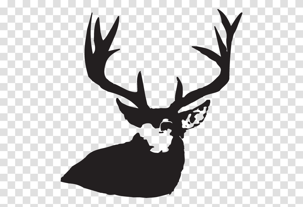 Deer Antlers, Elk, Wildlife, Mammal, Animal Transparent Png