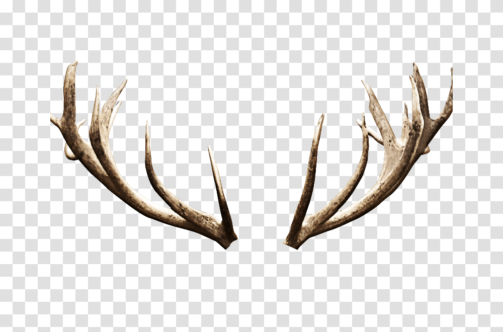 Deer Antlers Horns Image Transparent Png