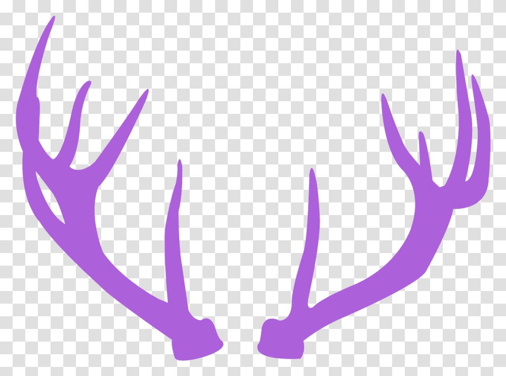 Deer Antlers Pink Clipart Transparent Png