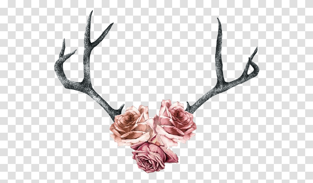 Deer Antlers Silhouette Rose Roses Antlers Pink Deer Antler With Flowers Tattoo Transparent Png