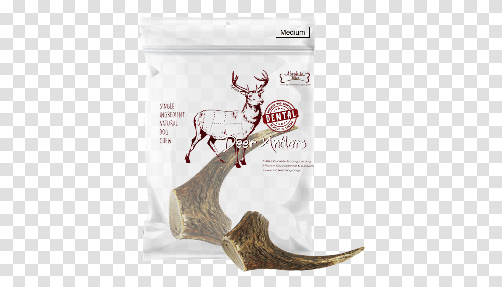 Deer Antlers Singapore, Horse, Mammal, Animal, Food Transparent Png