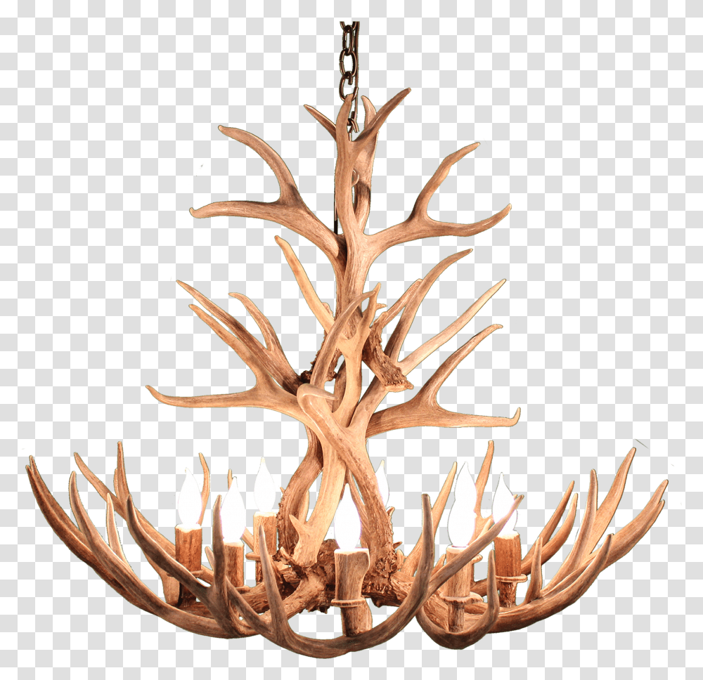 Deer Antlers Wood 912780 Vippng Tree, Chandelier, Lamp Transparent Png