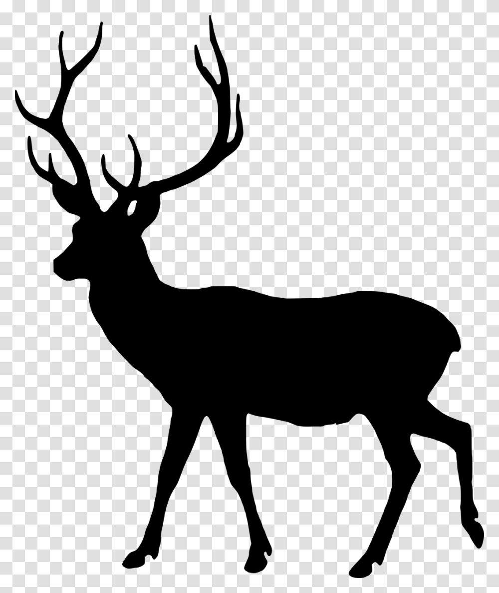 Deer Black And White, Gray, World Of Warcraft Transparent Png